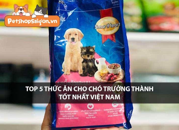 Top 5 thức ăn cho chó trưởng thành tốt nhất Việt Nam