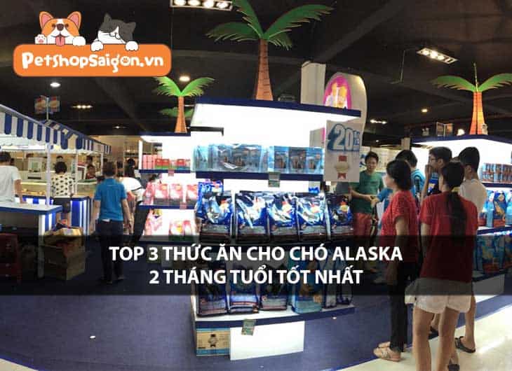 Top 3 thức ăn cho chó Alaska 2 tháng tuổi tốt nhất