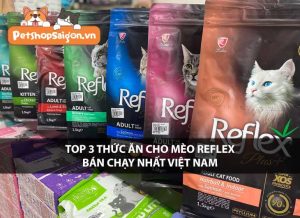 Top 3 thức ăn cho mèo Reflex bán chạy nhất tại Việt Nam