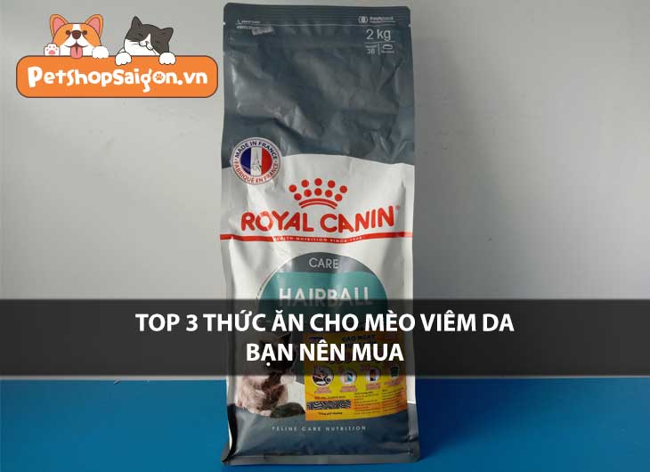 Top 3 thức ăn cho mèo viêm da bạn nên mua