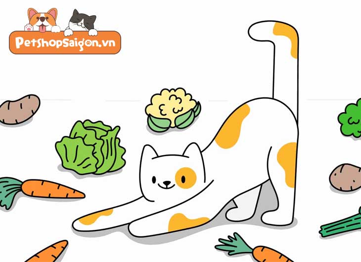 Mèo nên ăn rau gì