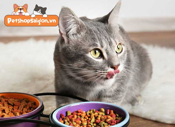 Thức ăn cho mèo bao 20kg