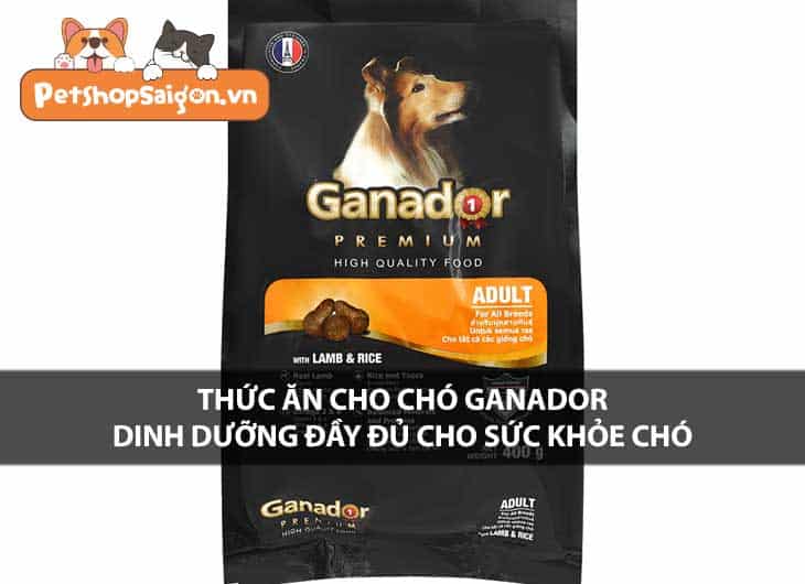 Thức ăn cho chó Ganador - Dinh dưỡng đầy đủ cho sức khỏe chó 