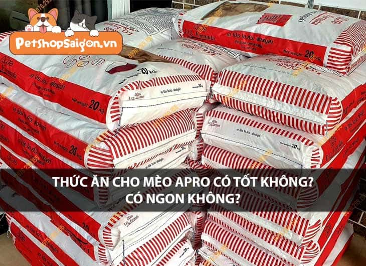 Thức ăn cho mèo Apro có tốt không? Có ngon không?